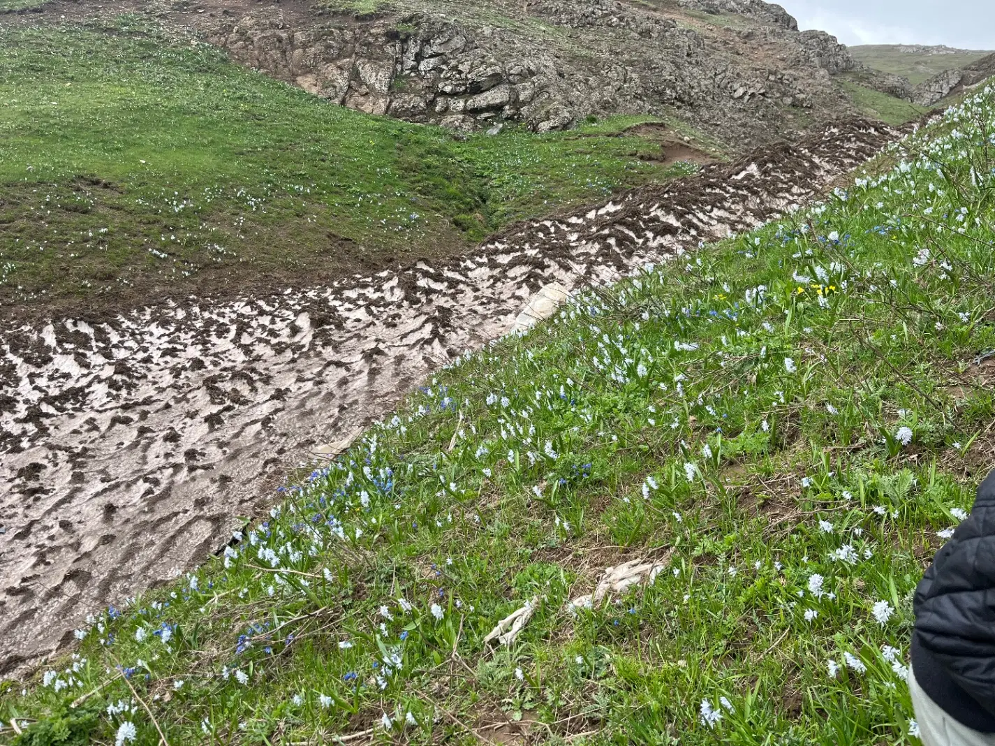 زمین  ویلایی