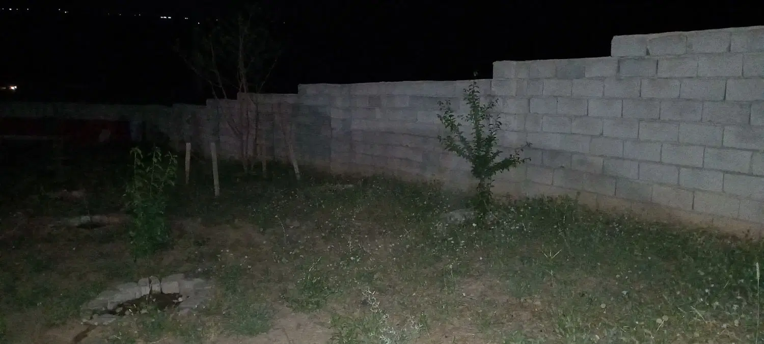 باغ ویلا