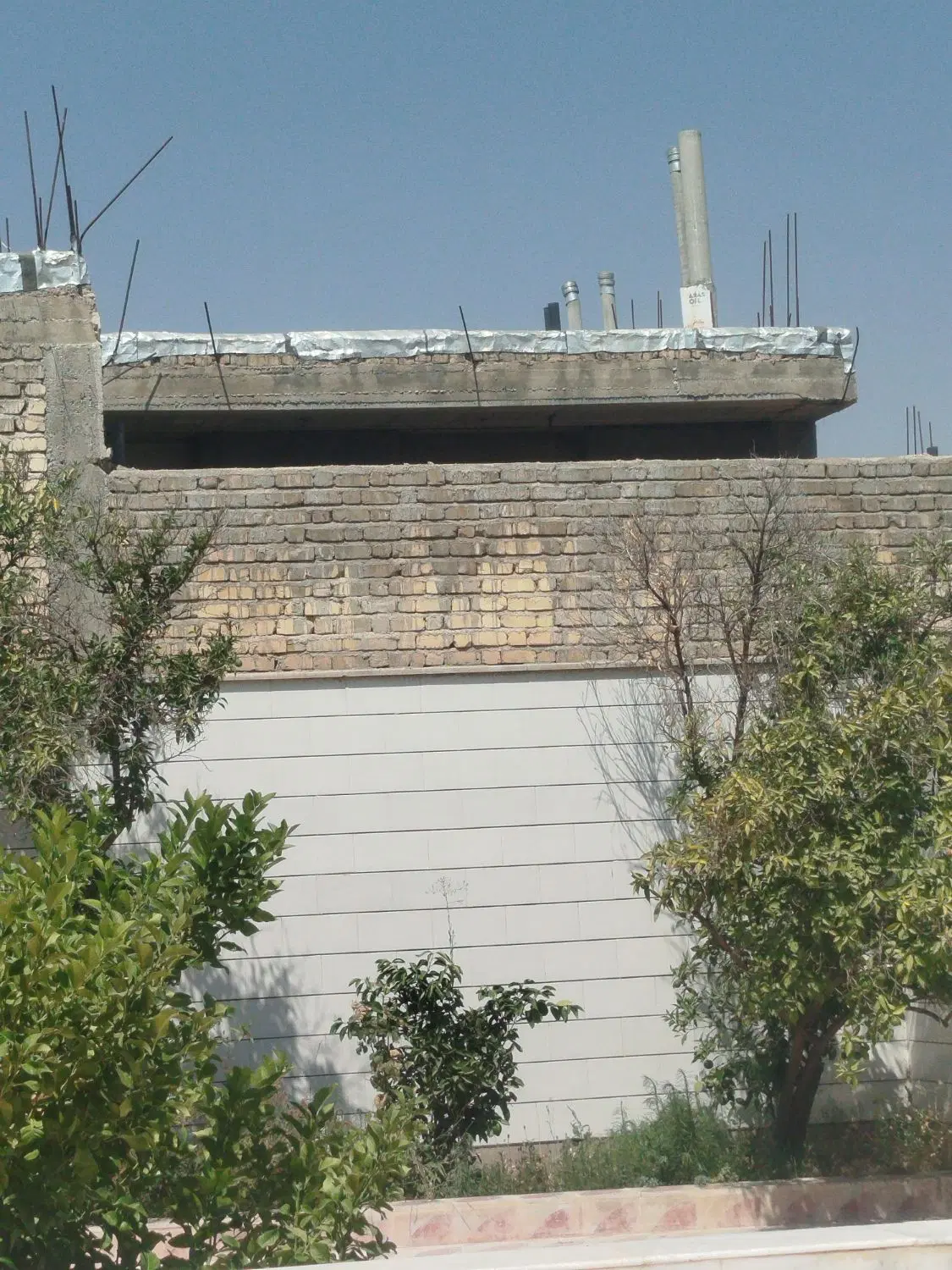 زمین