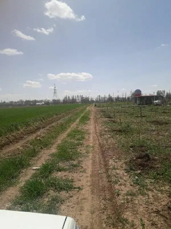 باغچه ۶۶۶ متر نهال شده ۳ ساله