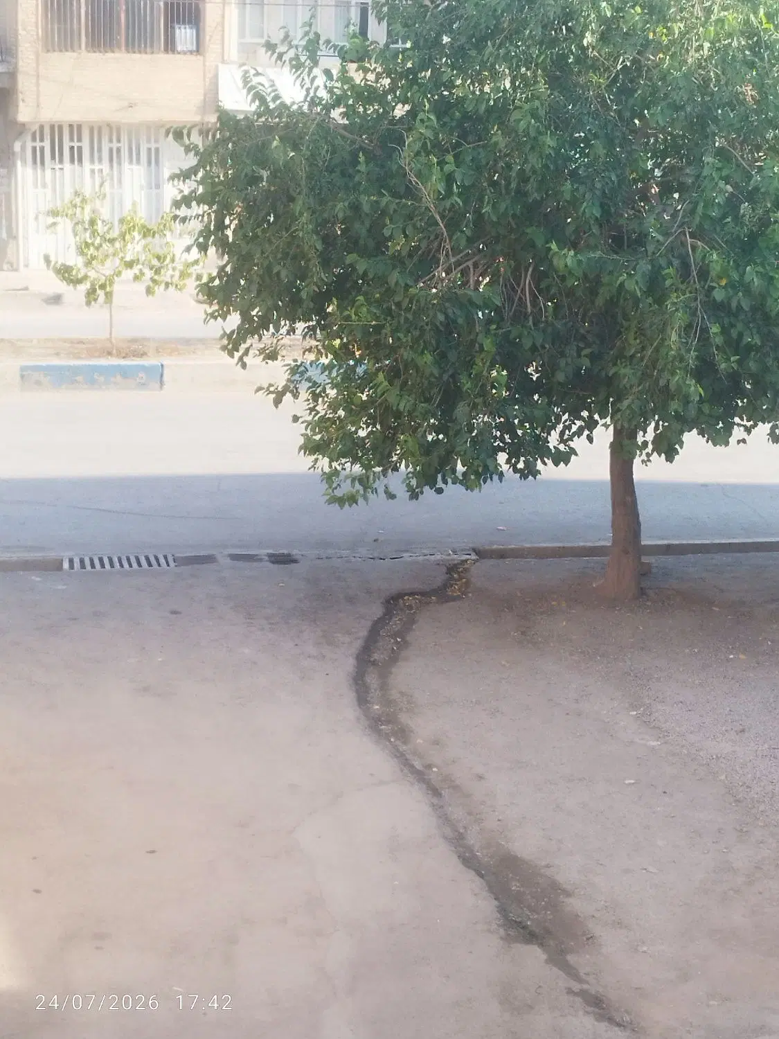 اجاره مغازه در شیرانی