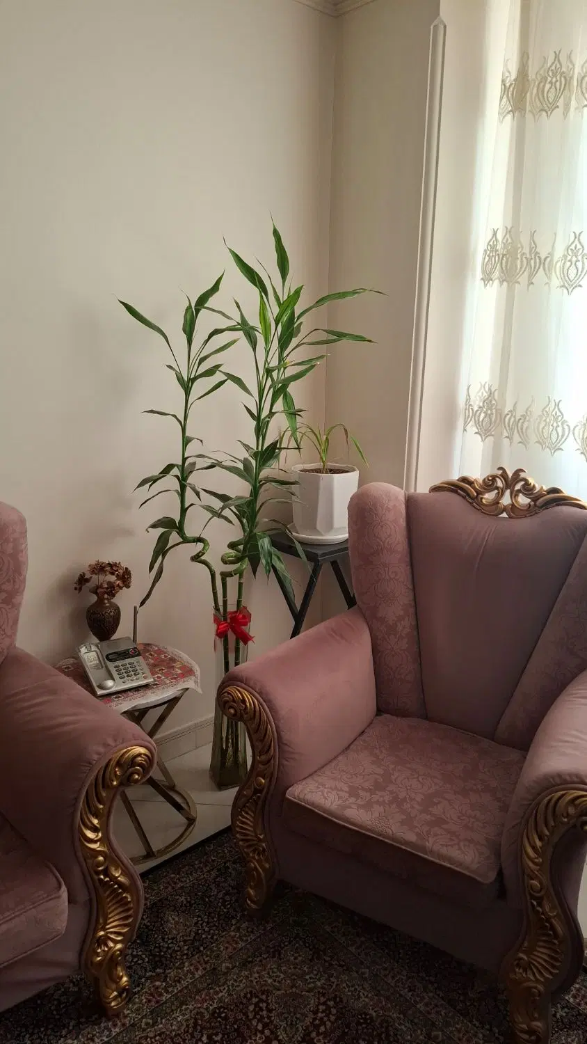 آپارتمان اجاره ای جهت خانواده. مجرد واتباع