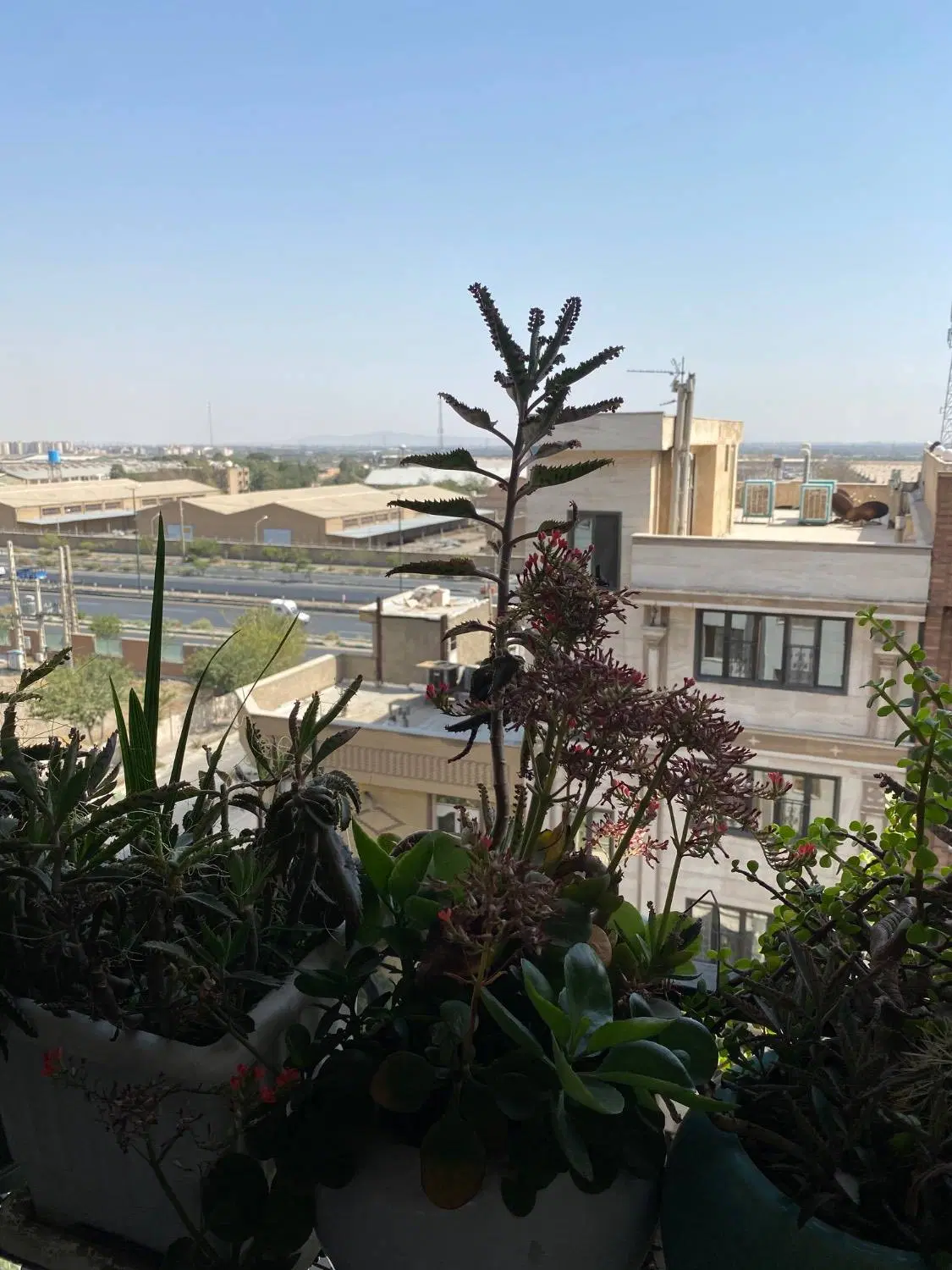 ۱۱۷ متر __ دو خواب __ شهرک دریا فول امکانات