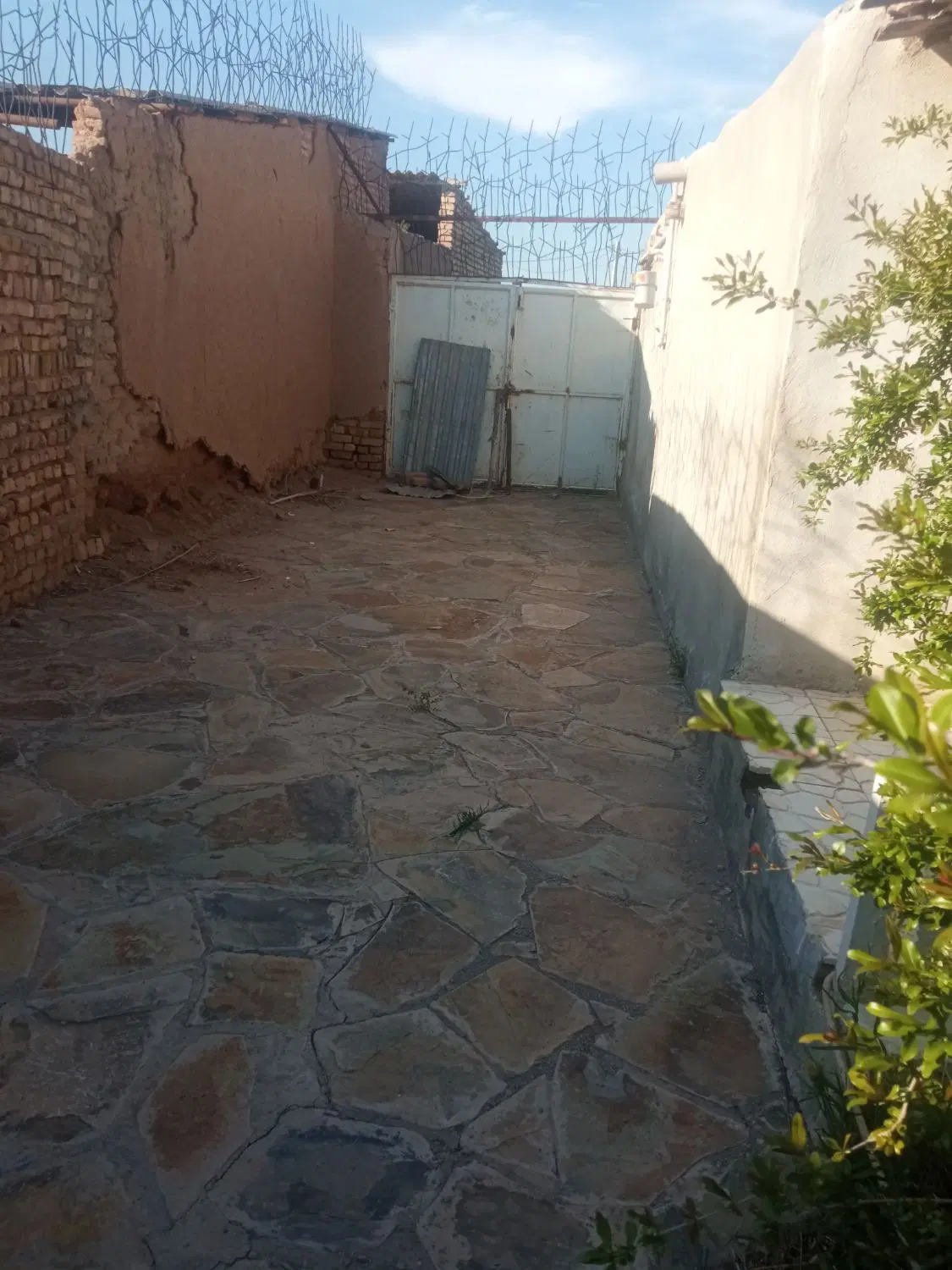 خانه و باغ سند تک برگی