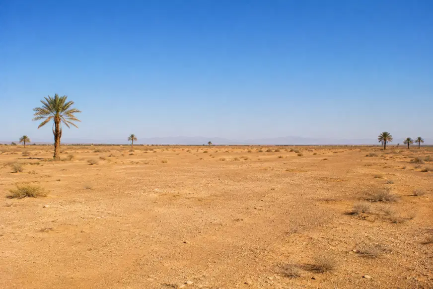 زمین