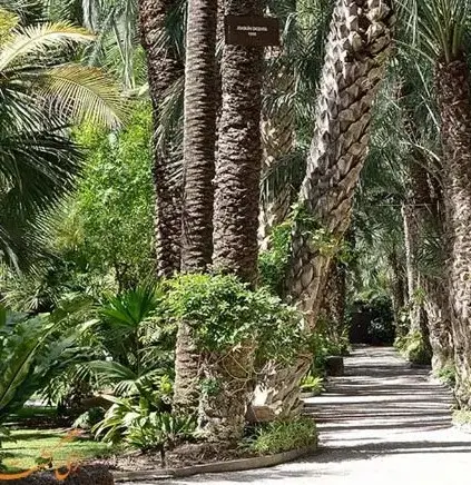 زمین کشاورزی