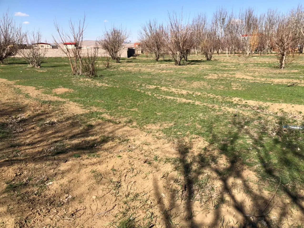 فروش زمین به قیمت مناسب