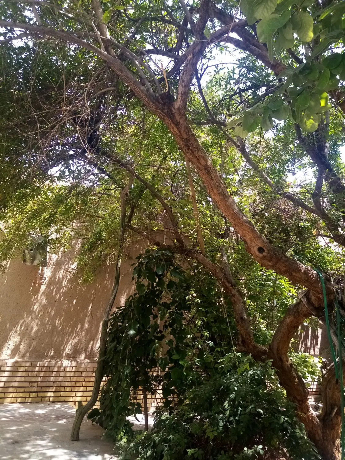 خانه قدیمی فروشی