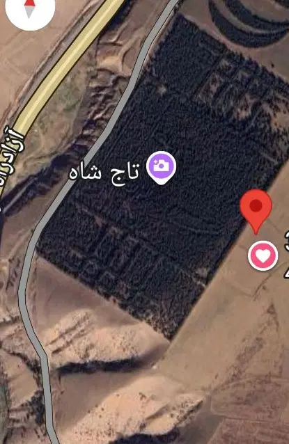 گندم زار 6000متری رستم آباد