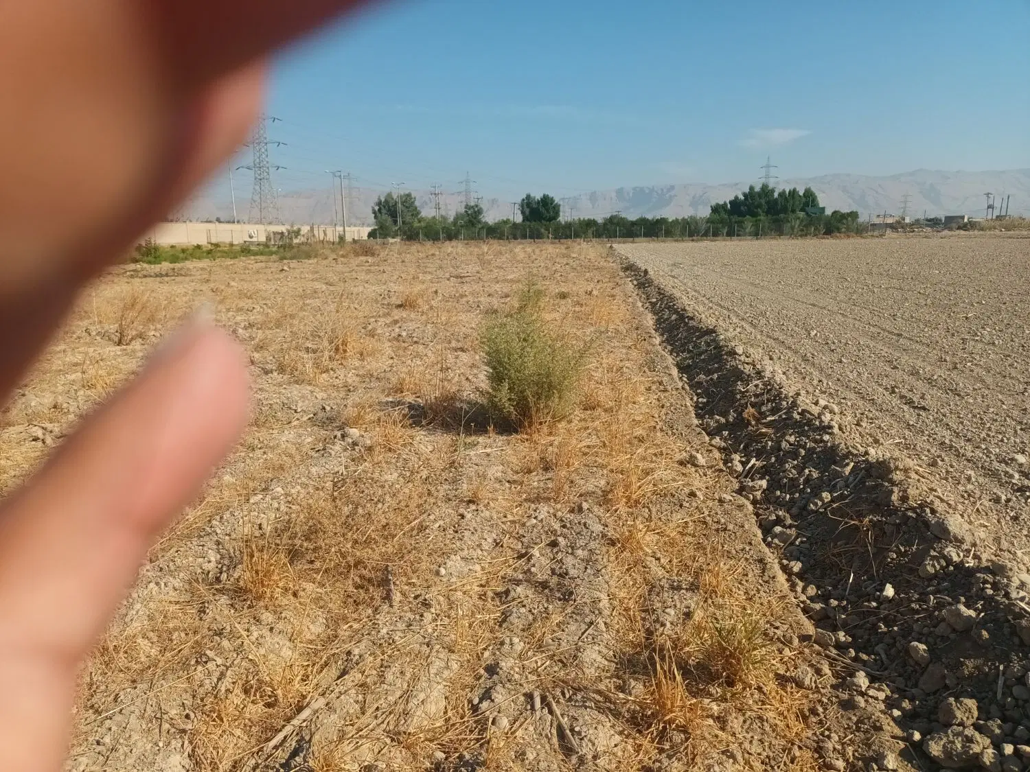 فروش ۸۹۰۰ متر زمین کشاورزی جاده زیدون حضرت علی
