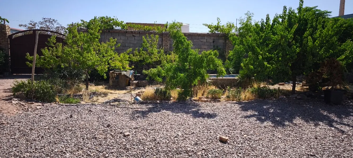 باغ جاده باغرود