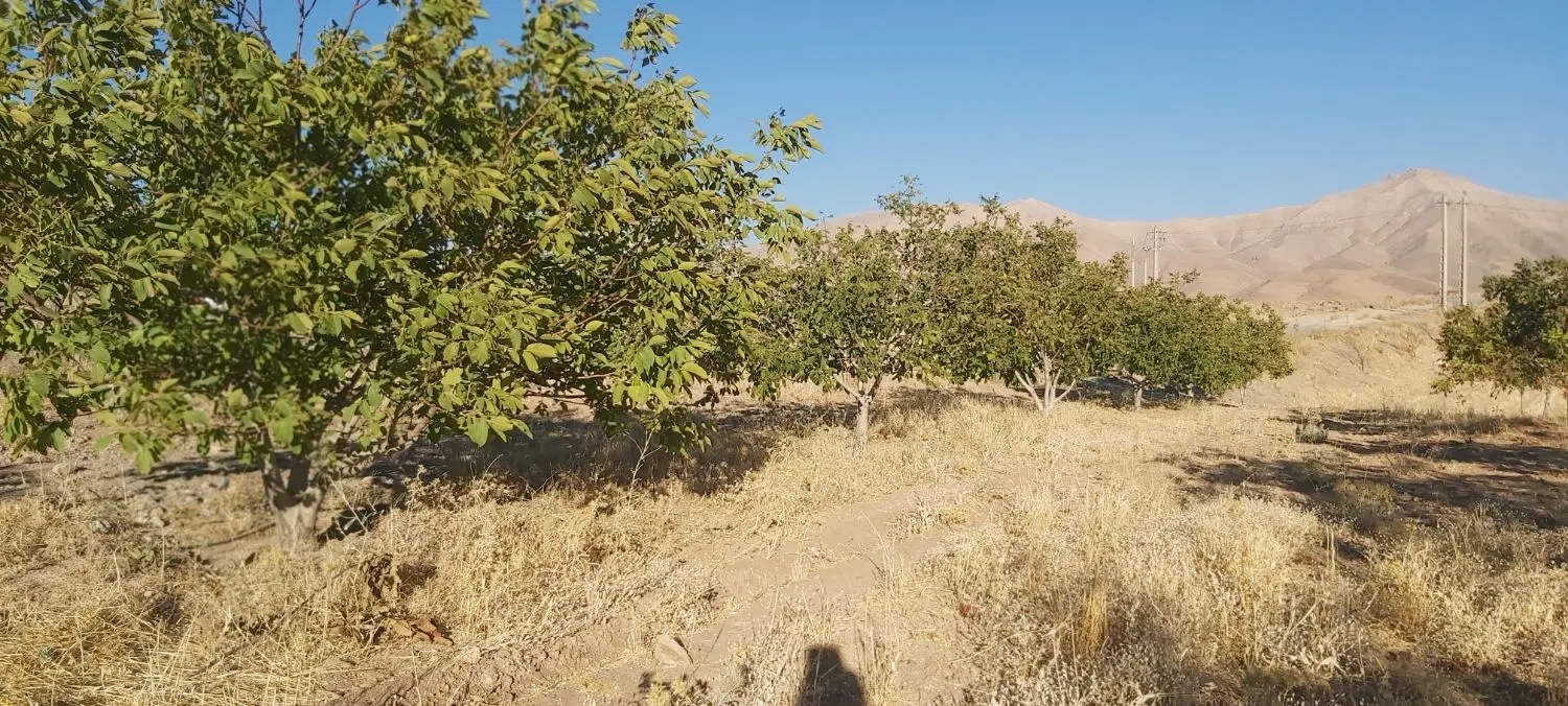 فروش باغ