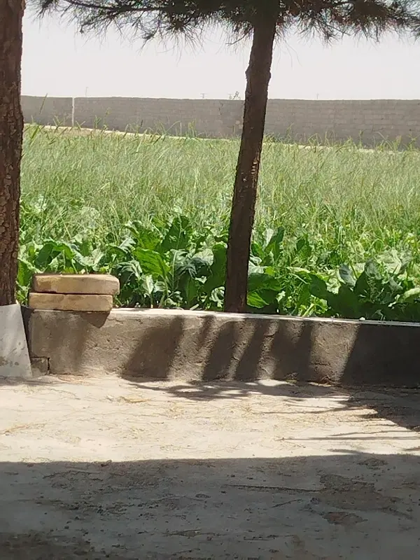 زمین مغازه