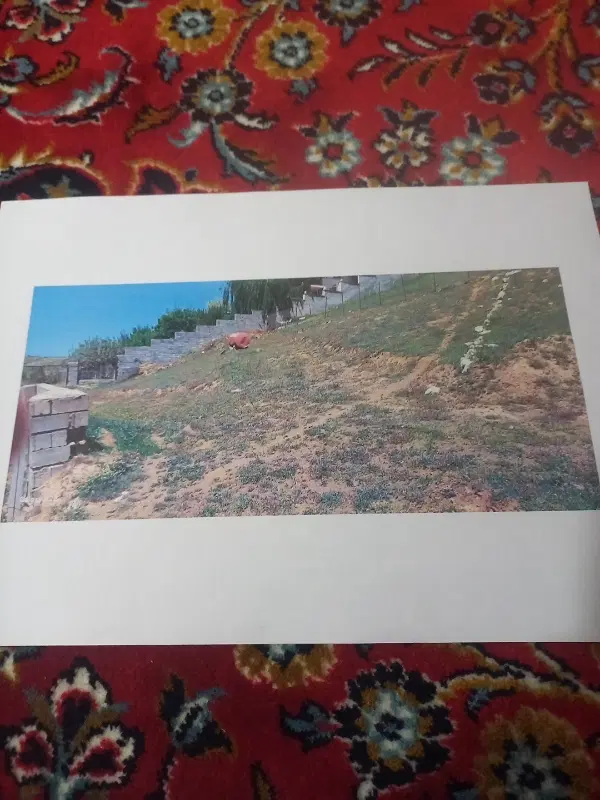 زمین جهت ویلا