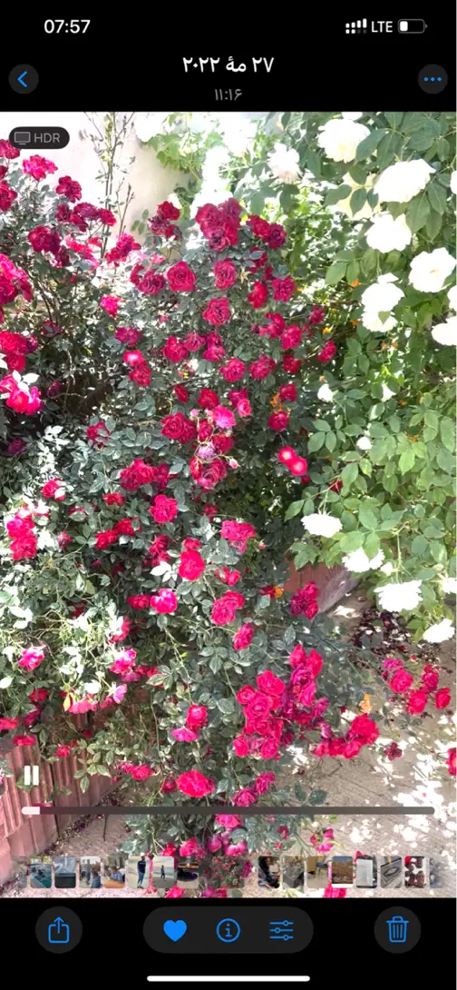 باغ ویلای رودهن چناران