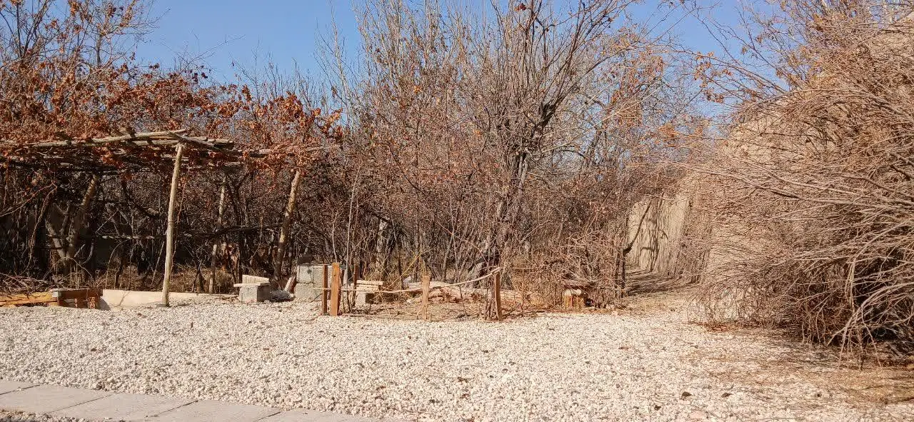 اجاره باغ