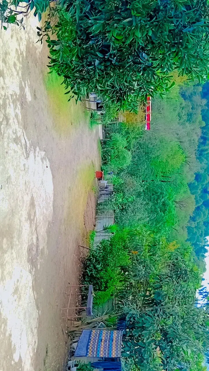 اجاره ویلا در دل جنگل