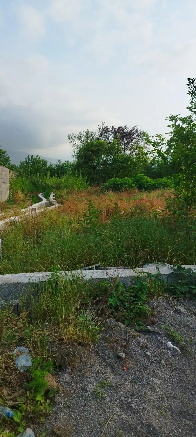 زمین مسکونی