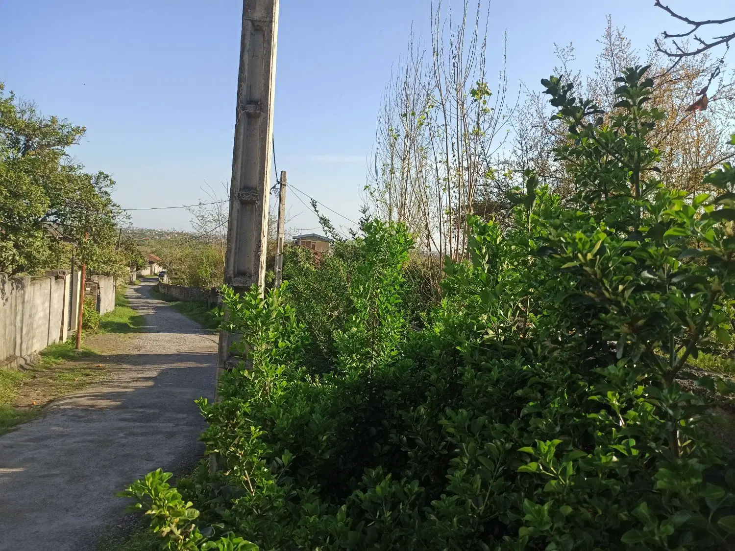 فروش زمین با پروانه ساخت در روستای زیبای تشگون