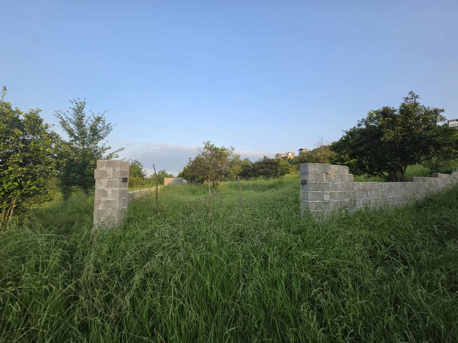 زمین دیوار کشی ۱۰۶۰ متر حاتم سرا