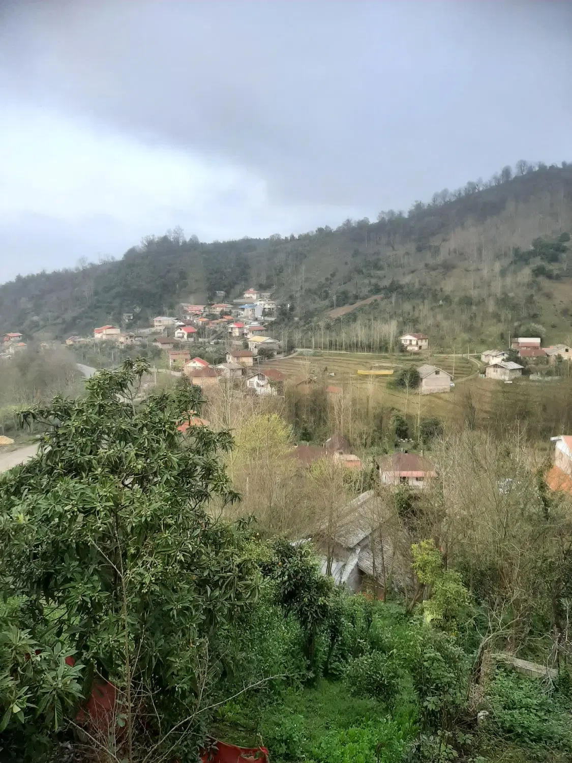 فروش زمین باغی