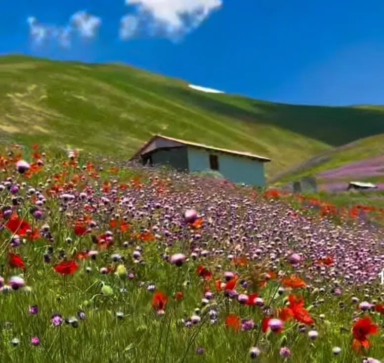 زمین اجاره ای هر کی داره خبر بده