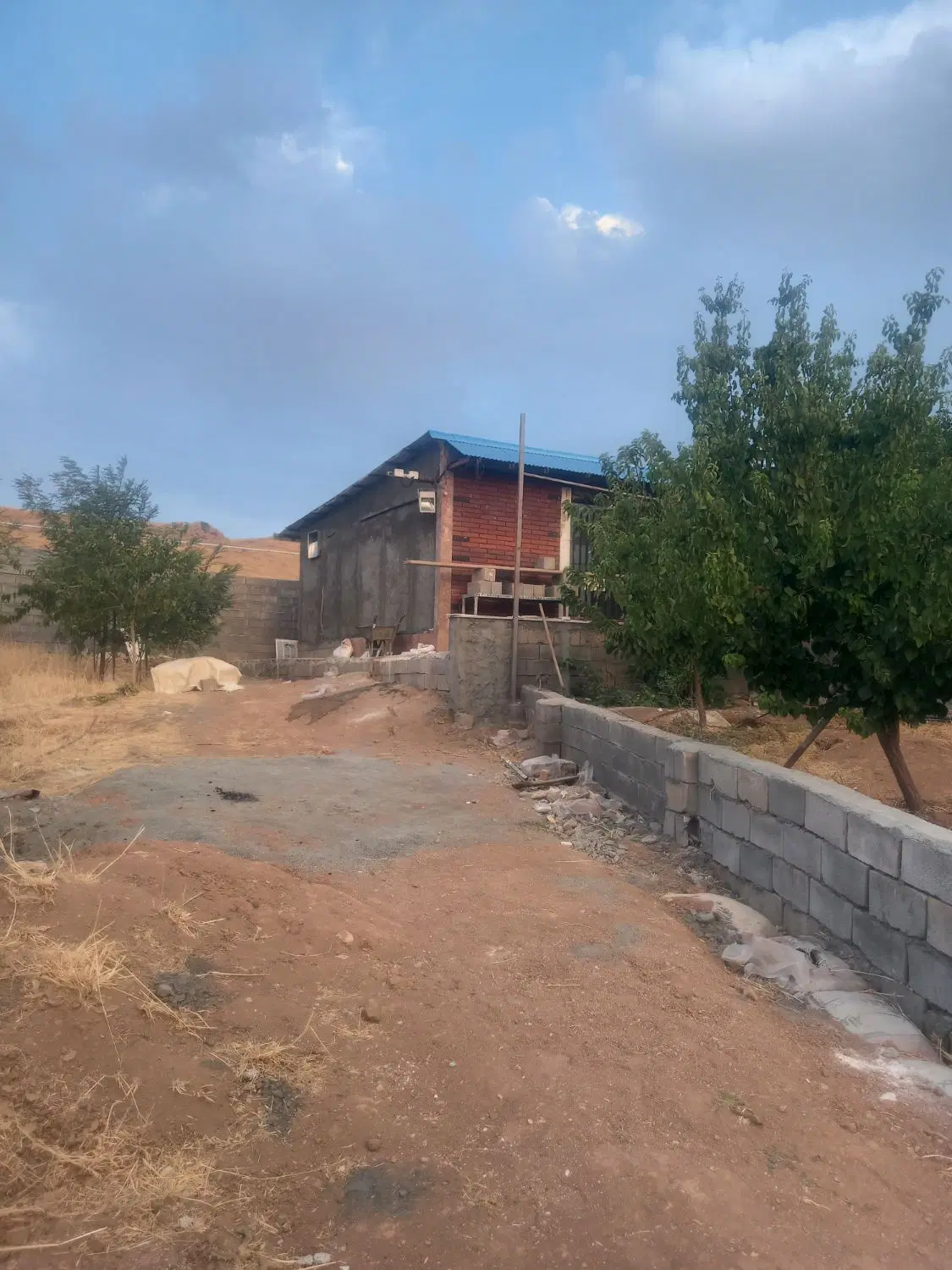 پونصد متر زمین باغ