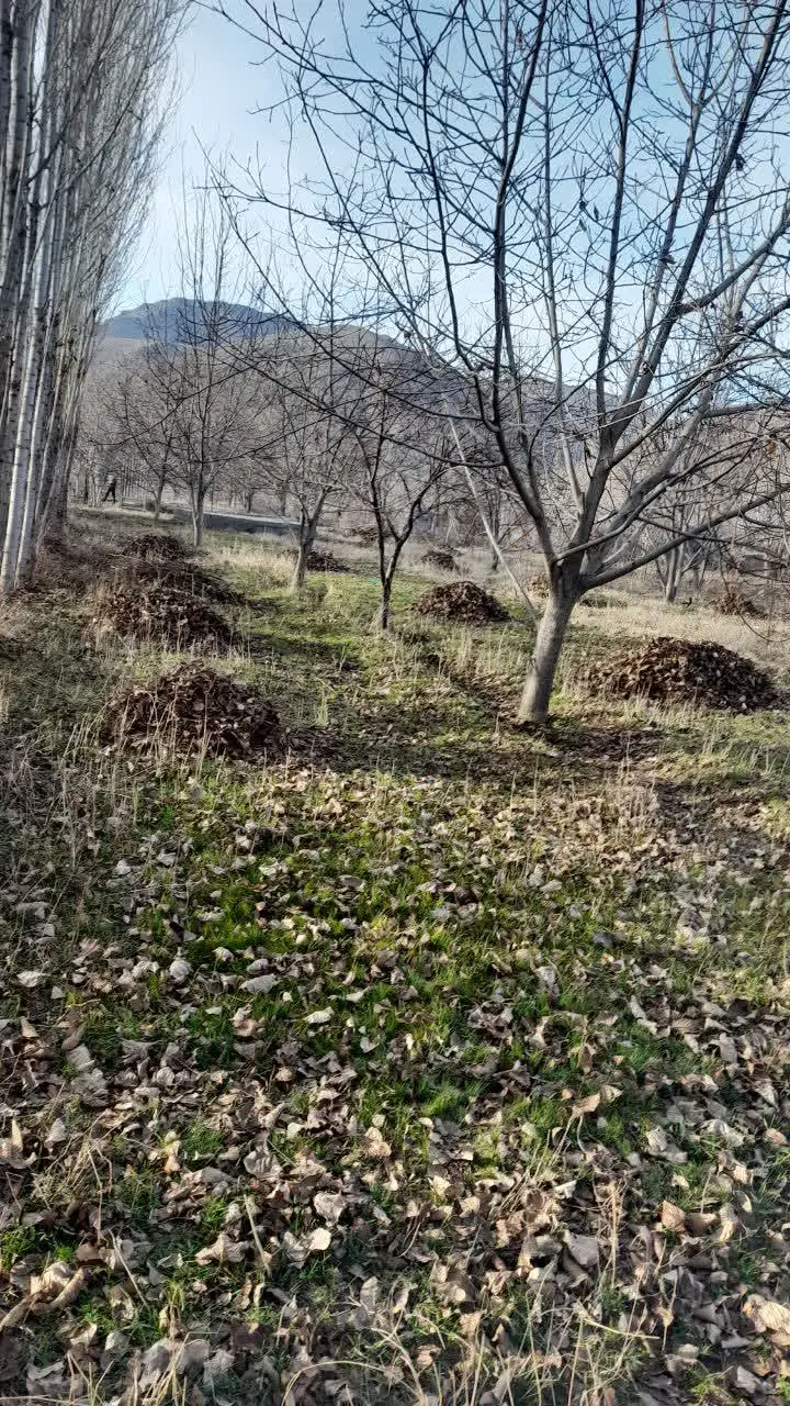 خانه باغ در منطقه توریستی کهمان