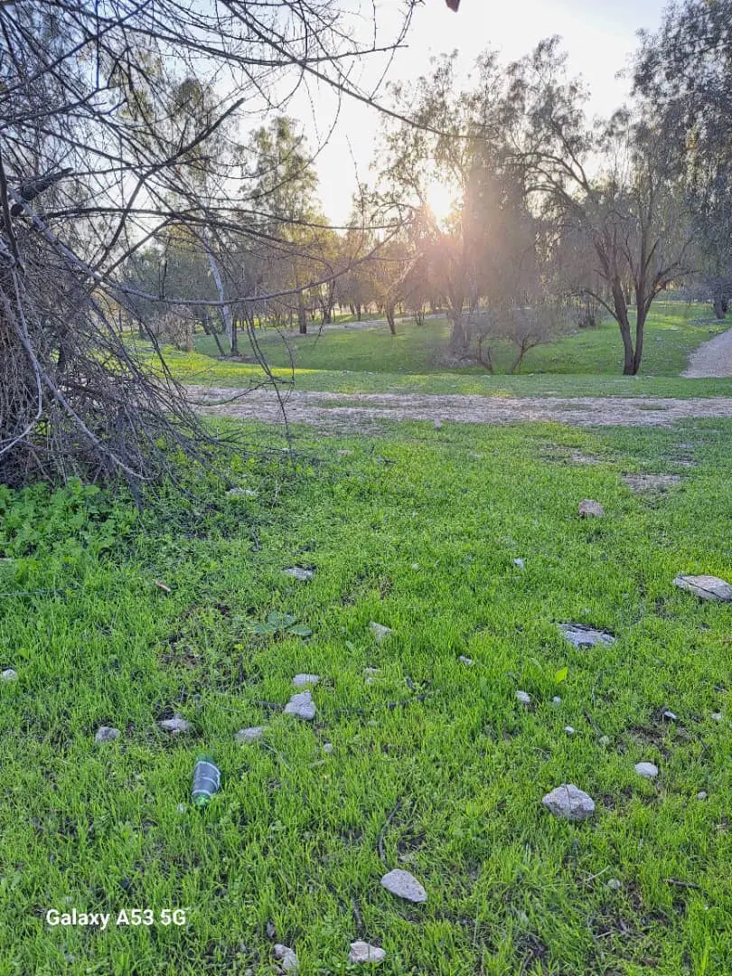 زمین مسکونی در لاور شرقی(رزمی)