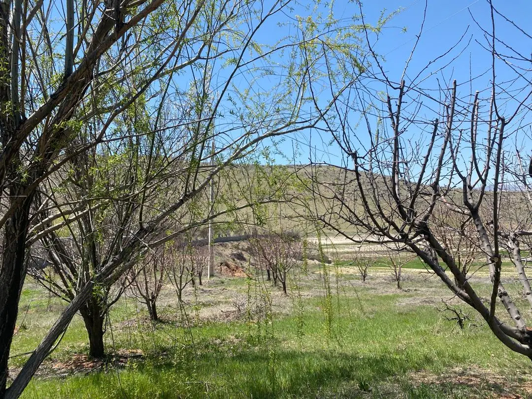زمین خانه خمیس گلاب دره