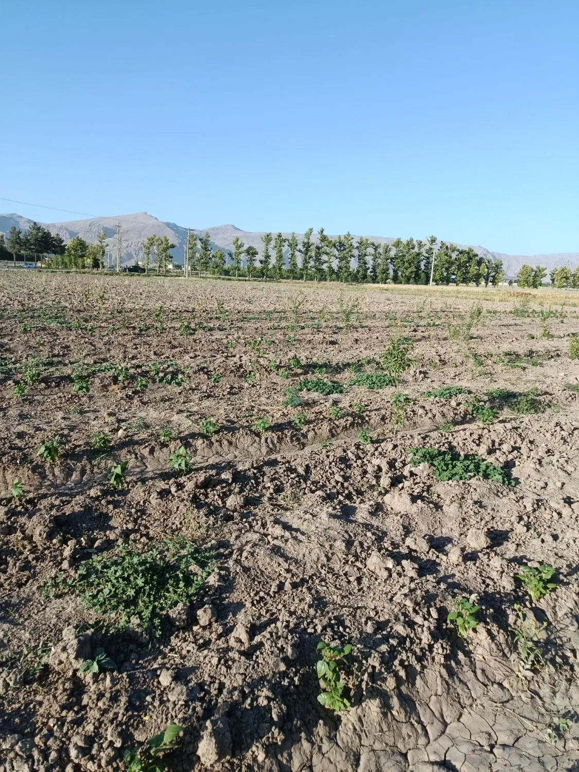 باغ با موقعیت عالی