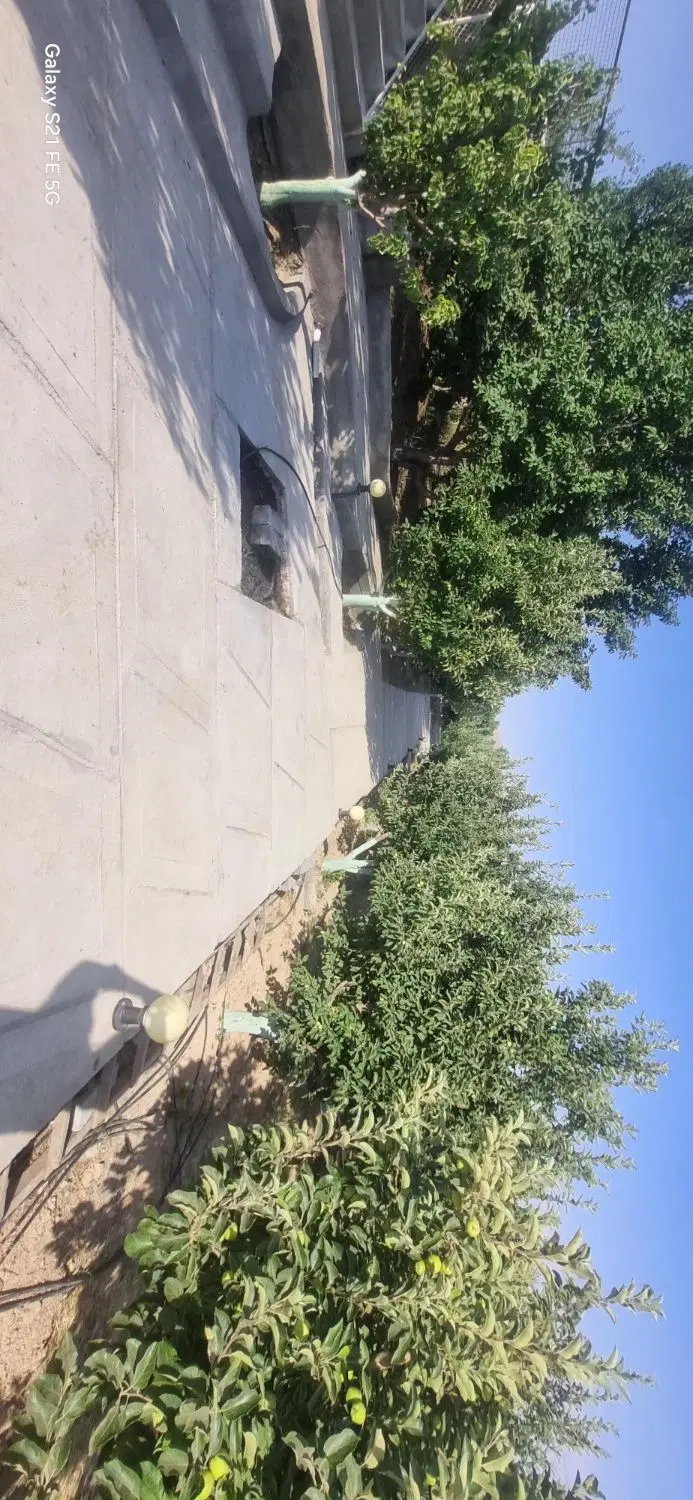 باغ ۱۵ ساله