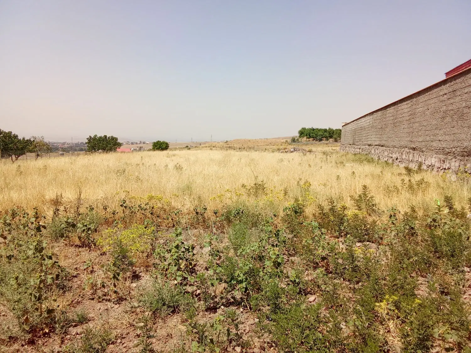 زمین در رزجرد