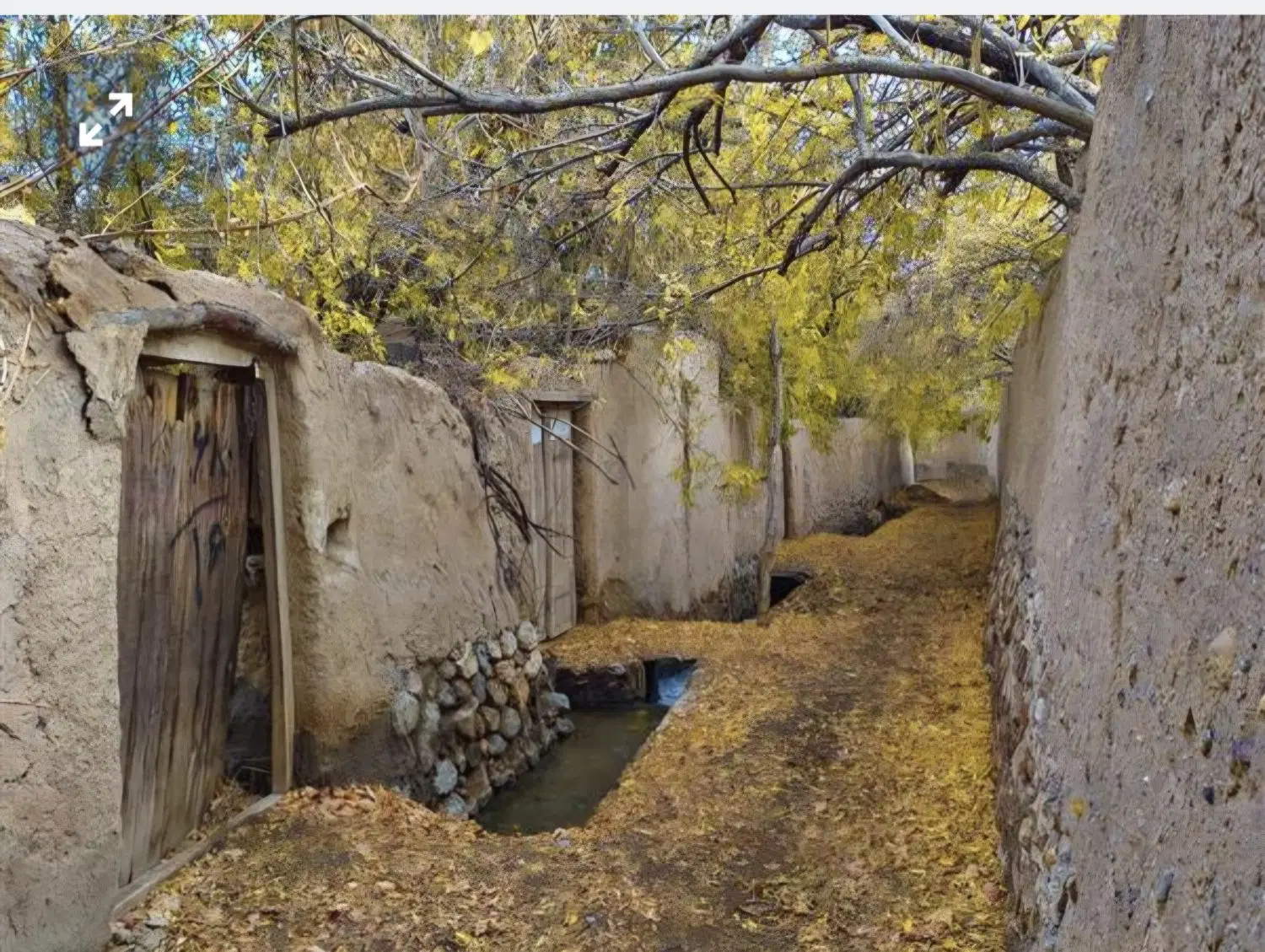 زرقان زمین باغی برآفتاب