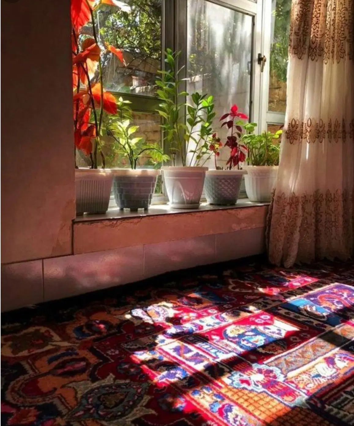 اجاره واحد ۷۰ متری تک خواب خیابان قائمیه
