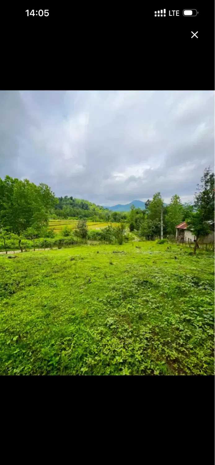هیئتی قلات
