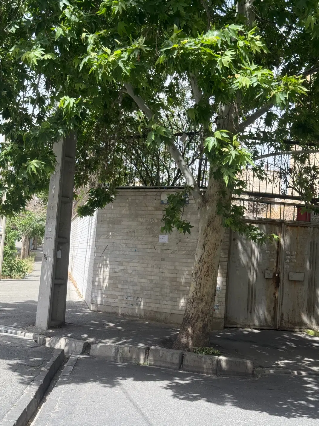 ۴۵۰۰متر کلنگی دو نبش  اشرفی همیلا
