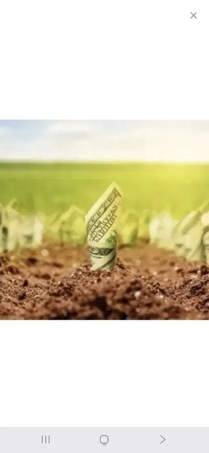 زمین 200 متر بهار اندیشه