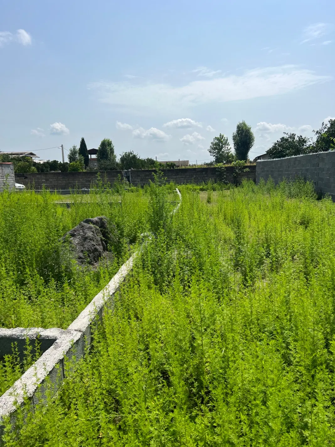 ۱۸۵ متر زمین مسکونی خوش قواره با دسترسی عالی