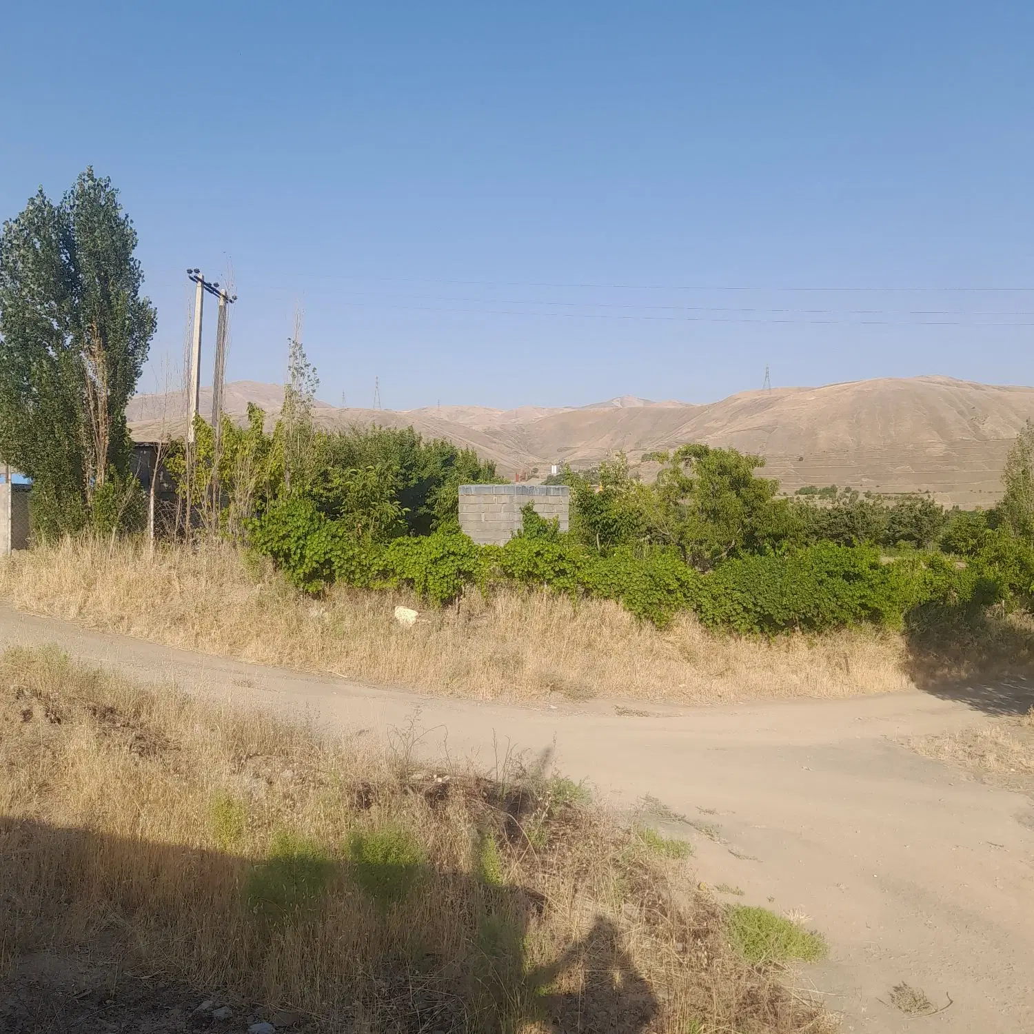 باغ کشاورزی ۵کیلومتری سنندج