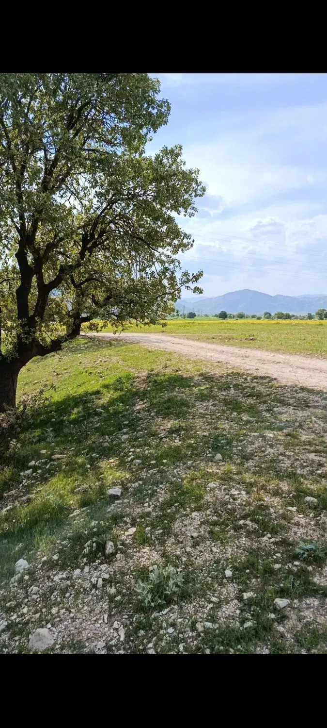 زمین چوار