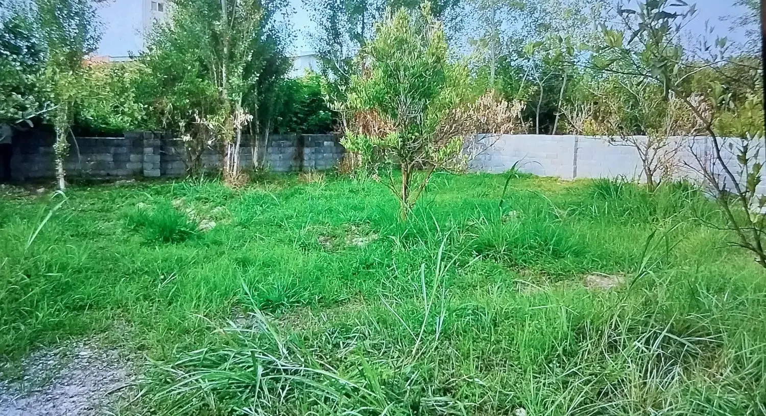 ۳۰۰ مترزمین خوش قواره دوستگرشریعت ۲۴