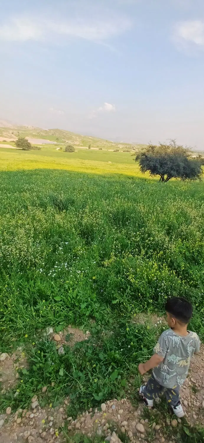 سلام فروش یک پلاک زمین  شهرک صفا