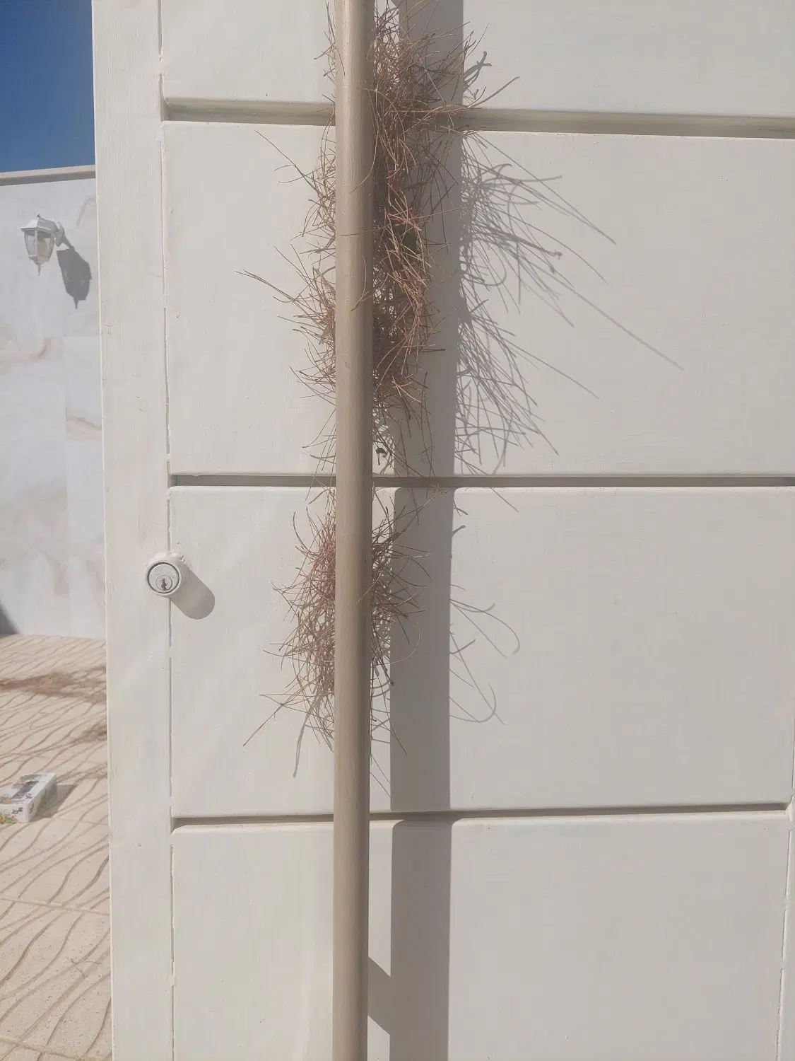 اجاره مغازه