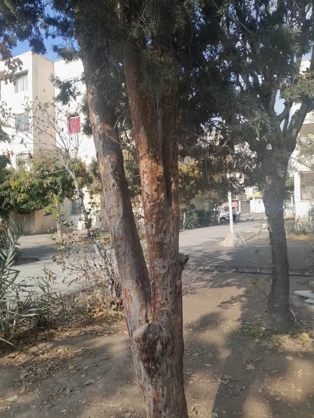 آپارتمان ۶۳ متری در مجتمع صدف فرهنگیان رباط کریم