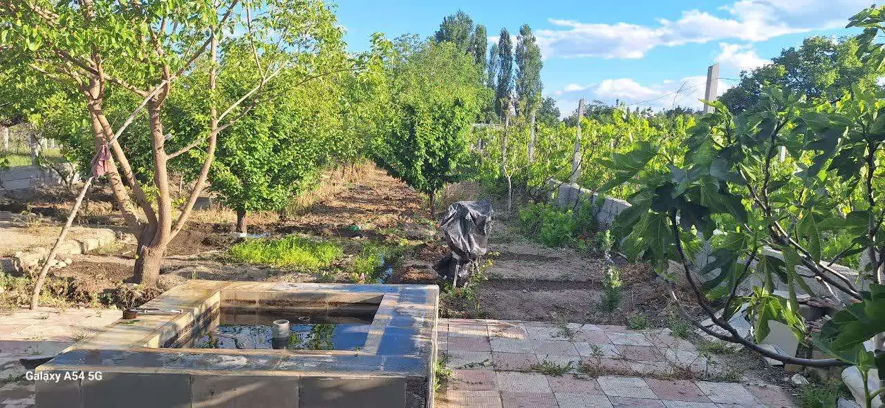 فروش باغ در روستای پشتگل