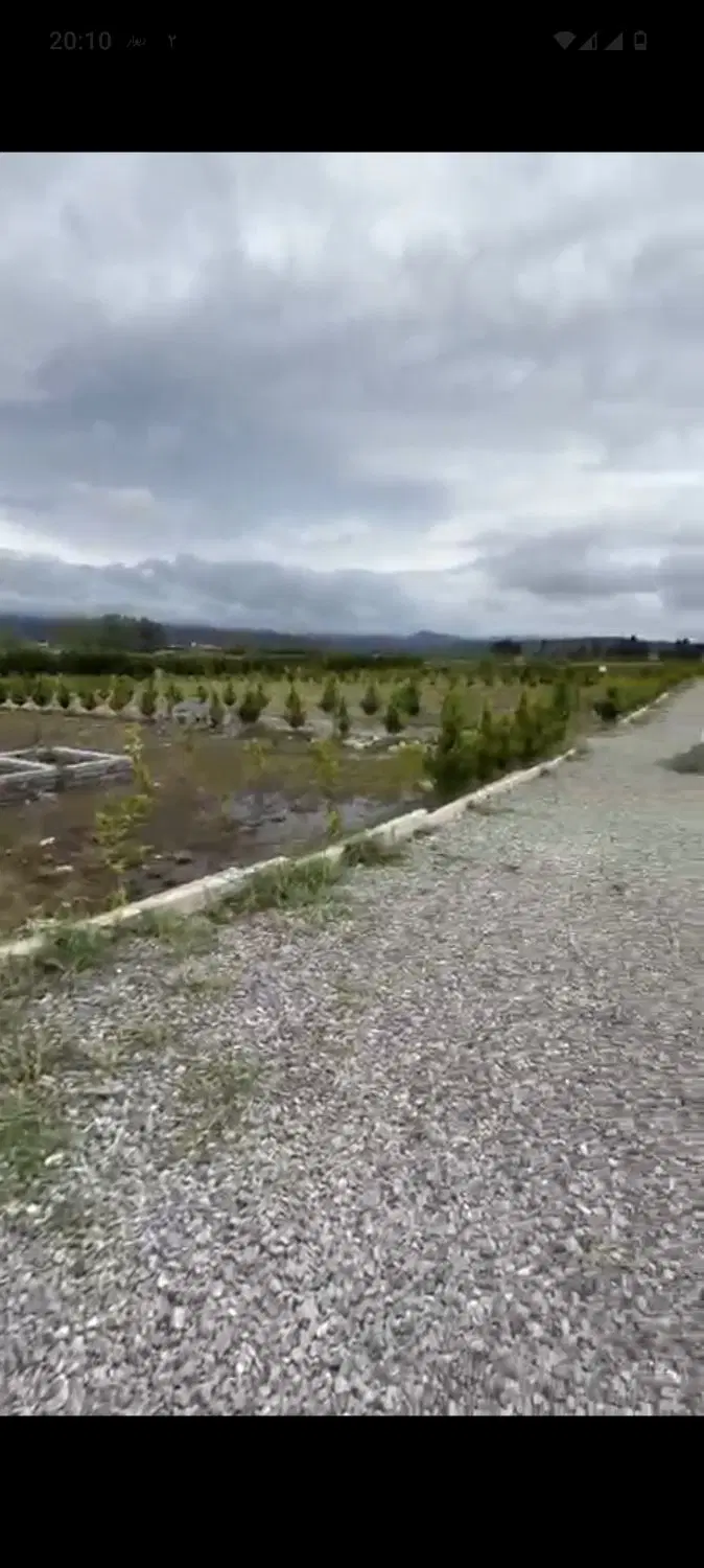 زمین با متراژ ۱۵۰ متر چمستان