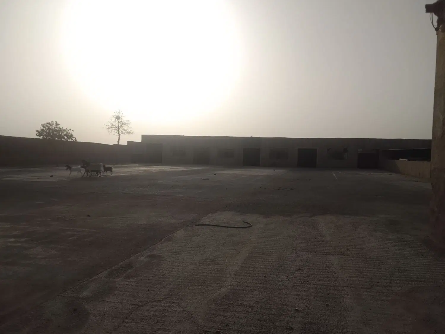 اجاره انبار بزرگ،سوله و...
