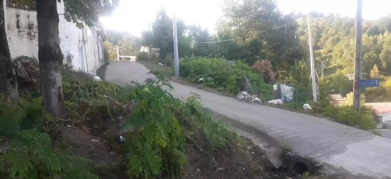 زمینهای ویلایی روستای زیبای عباس آباد بندر آستارا