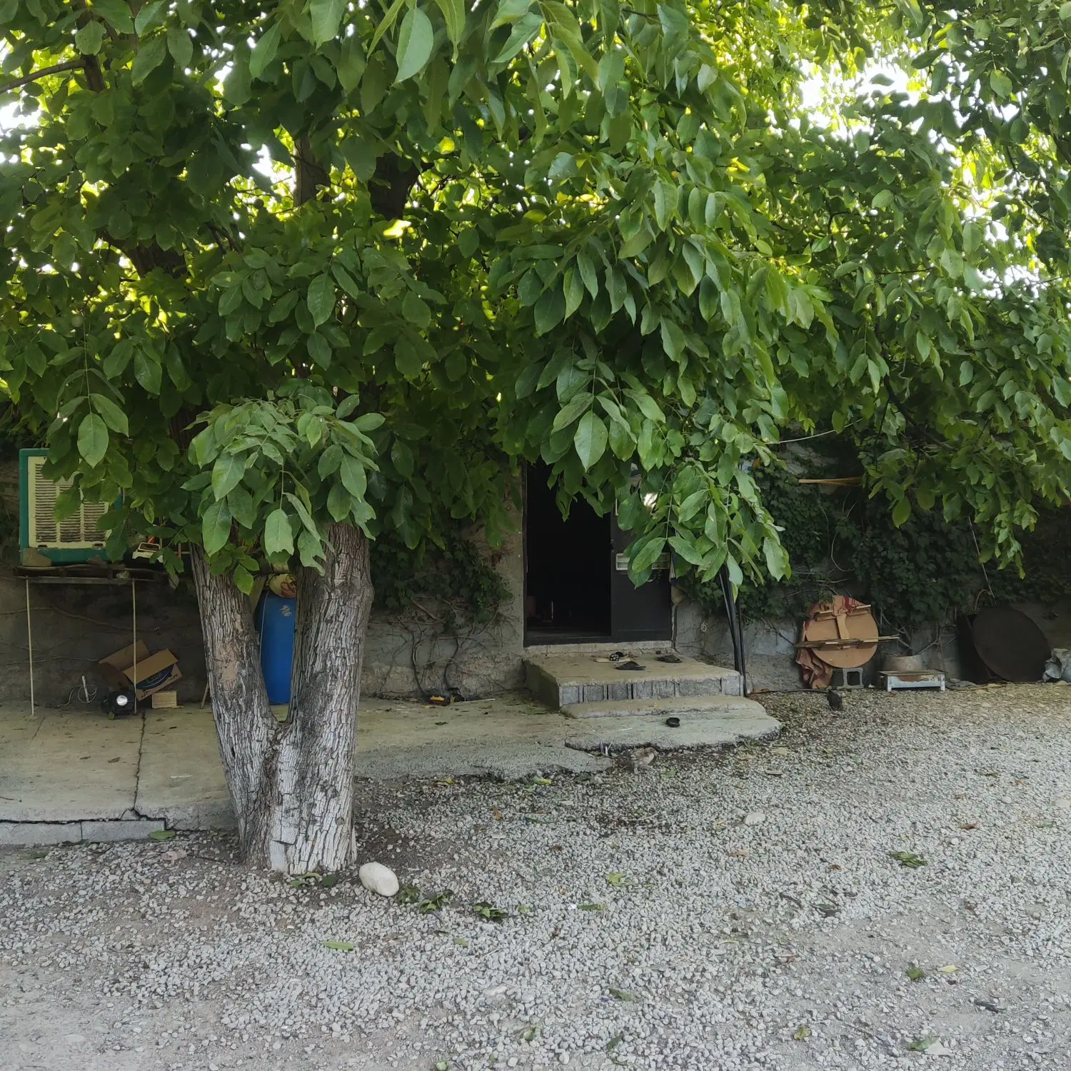 اجاره منزل مسکونی